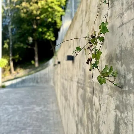 Art & Sunski Z Garazem Podziemnym 公寓