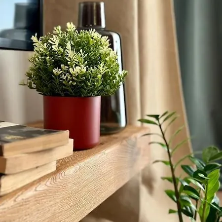 Art & Sunski Z Garazem Podziemnym 公寓 *