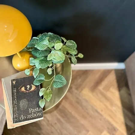 Art & Sunski Z Garazem Podziemnym * Крыница-Здруй